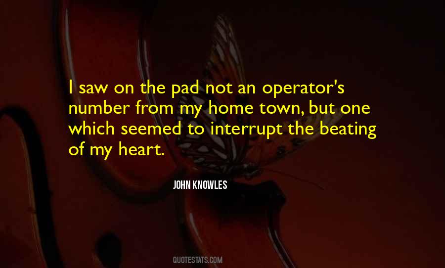 John Knowles Quotes #1238780