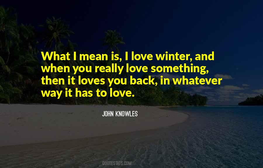 John Knowles Quotes #129316