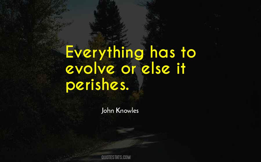 John Knowles Quotes #1524074