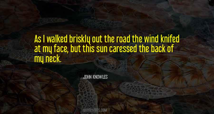 John Knowles Quotes #1533984