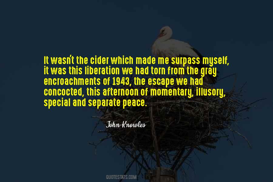 John Knowles Quotes #1601476