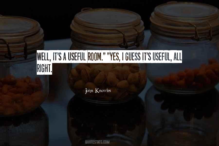 John Knowles Quotes #470273