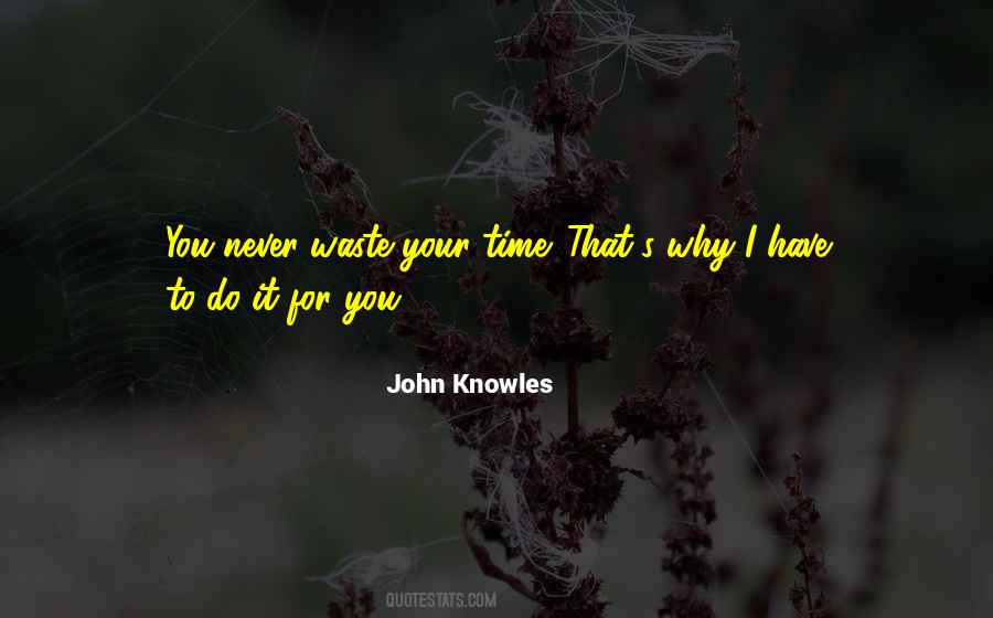 John Knowles Quotes #573792