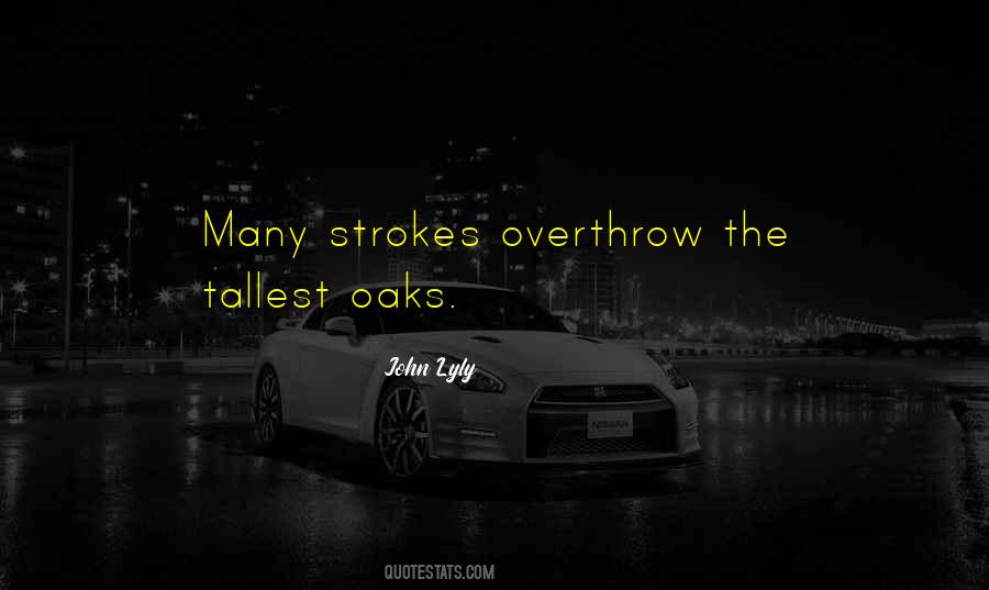 John Lyly Quotes #655822