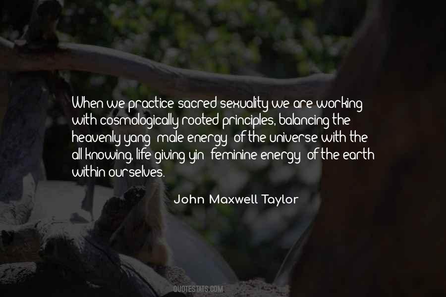 John Maxwell Taylor Quotes #148728