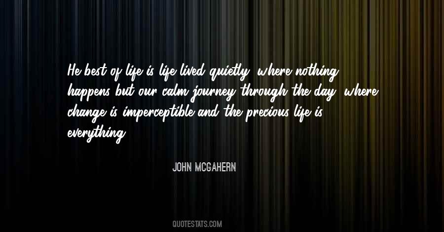 John McGahern Quotes #384561