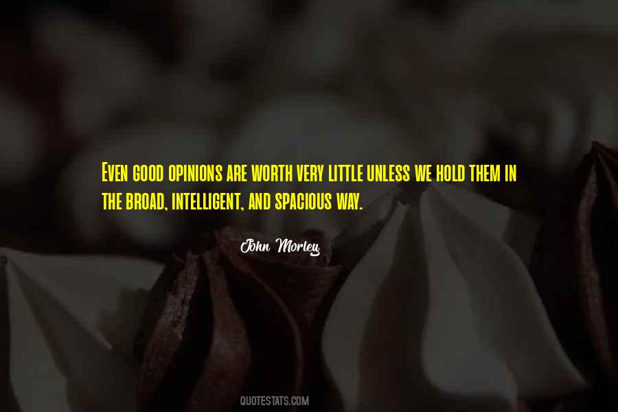 John Morley Quotes #1498830