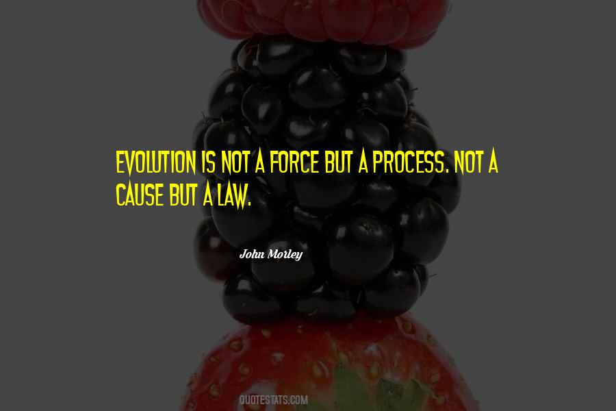 John Morley Quotes #769000