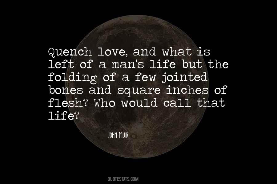 John Muir Quotes #1026993