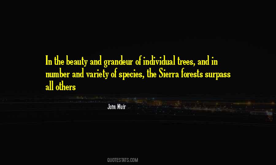 John Muir Quotes #1404684