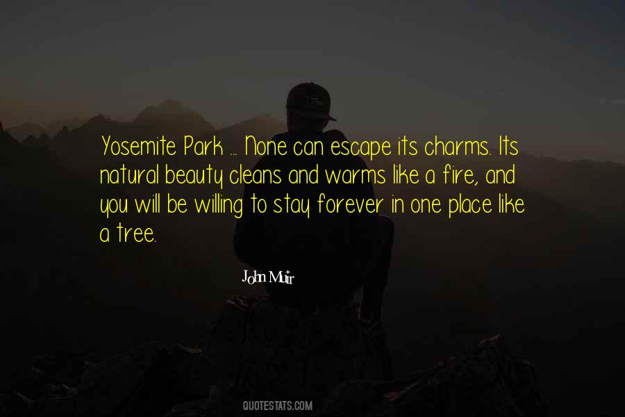 John Muir Quotes #151098
