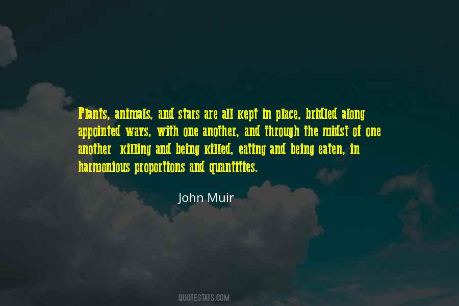 John Muir Quotes #1675904