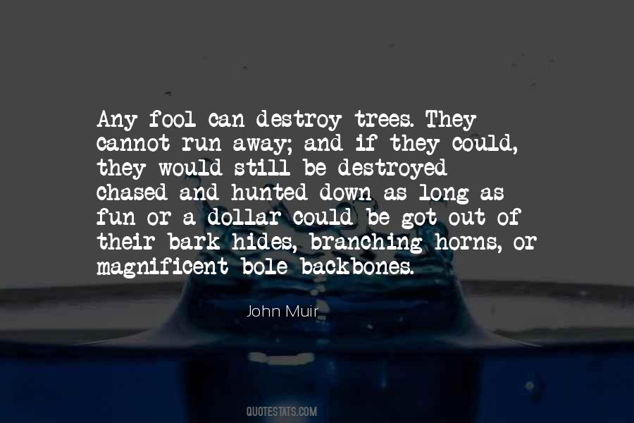 John Muir Quotes #1701803