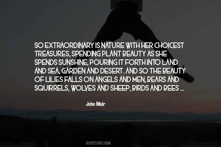 John Muir Quotes #284689