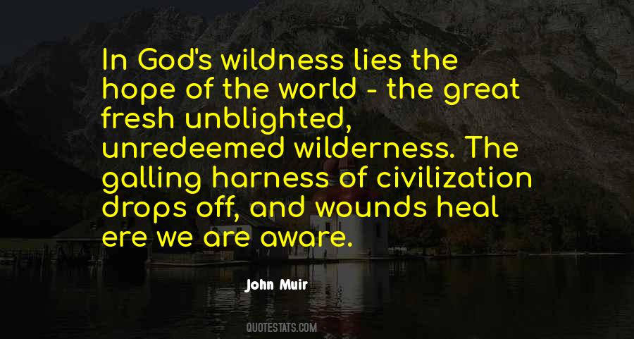 John Muir Quotes #337362