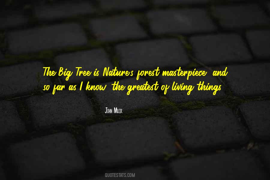 John Muir Quotes #672286
