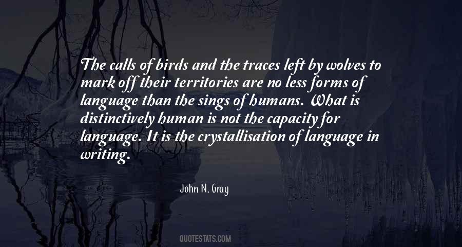 John N. Gray Quotes #259538