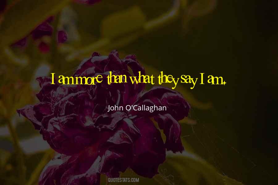 John O'Callaghan Quotes #1149191