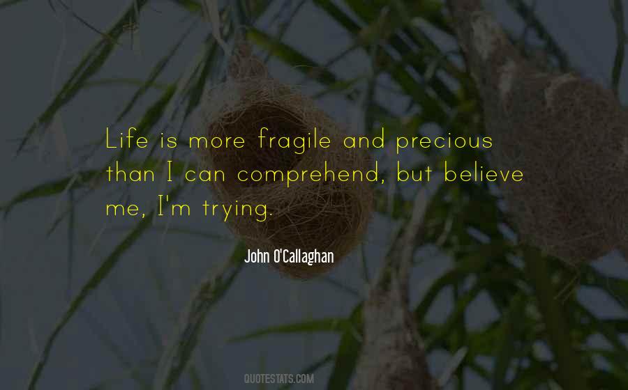 John O'Callaghan Quotes #1469839