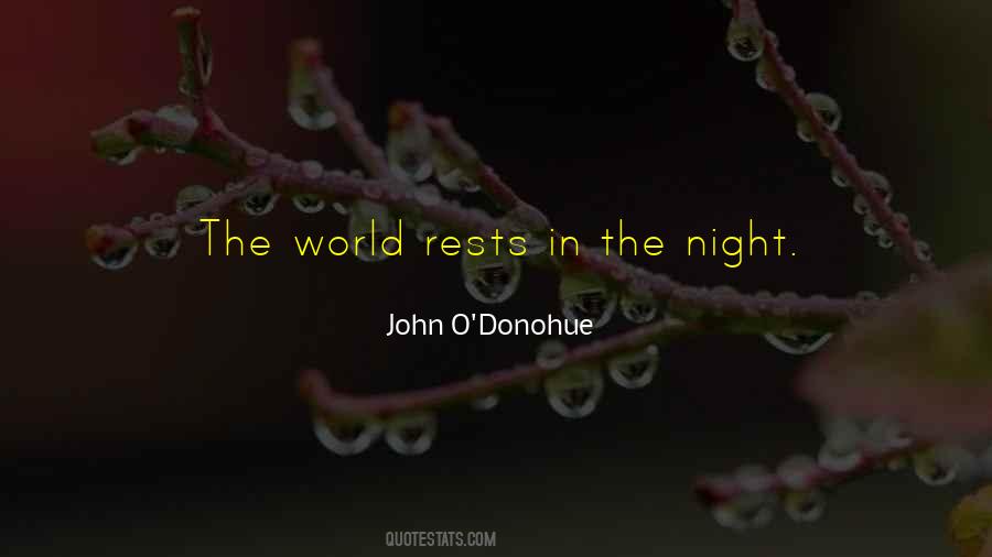 John O'Donohue Quotes #1005480