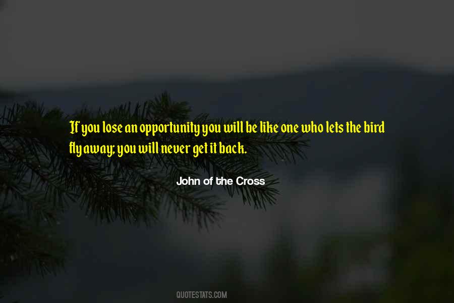 John Of The Cross Quotes #1147966