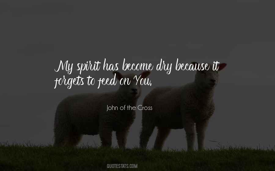 John Of The Cross Quotes #1736373