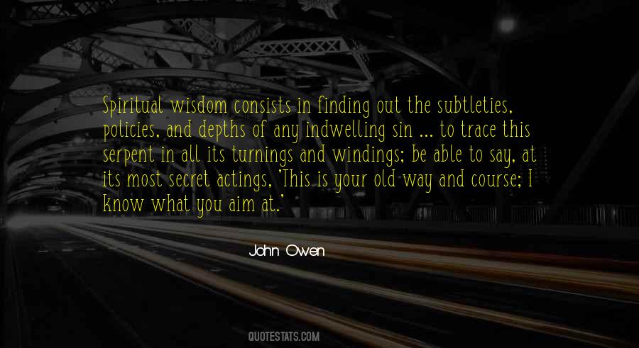 John Owen Quotes #124966