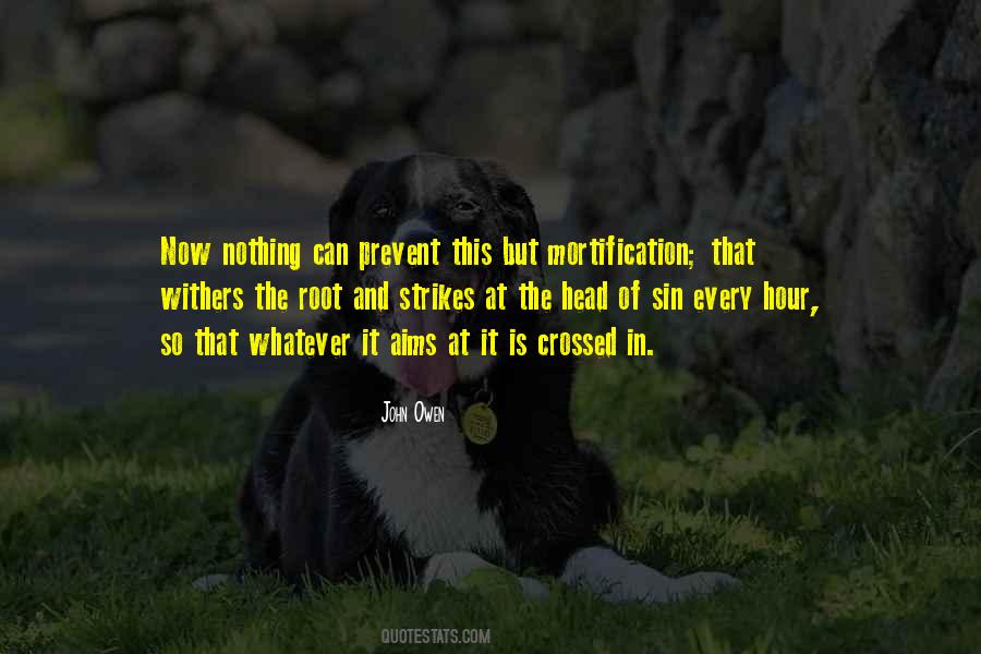 John Owen Quotes #600874