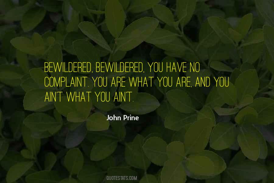 John Prine Quotes #432508