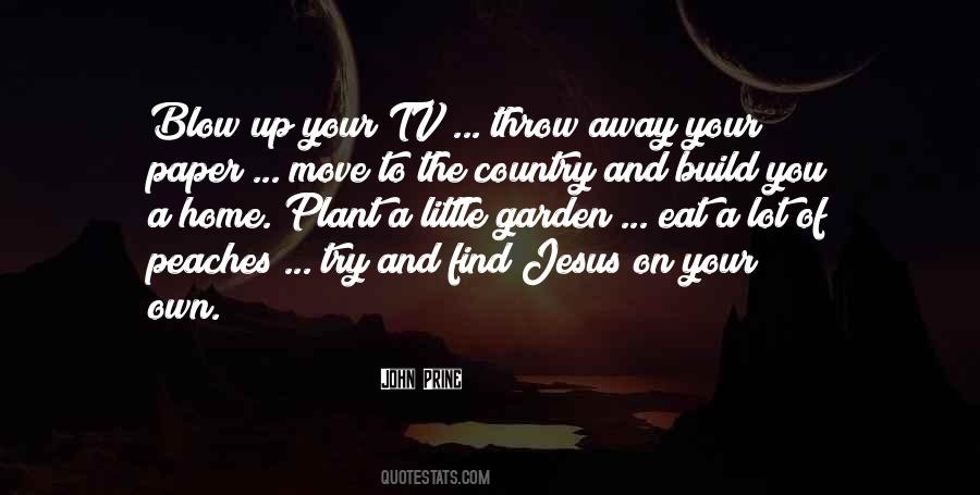 John Prine Quotes #565411