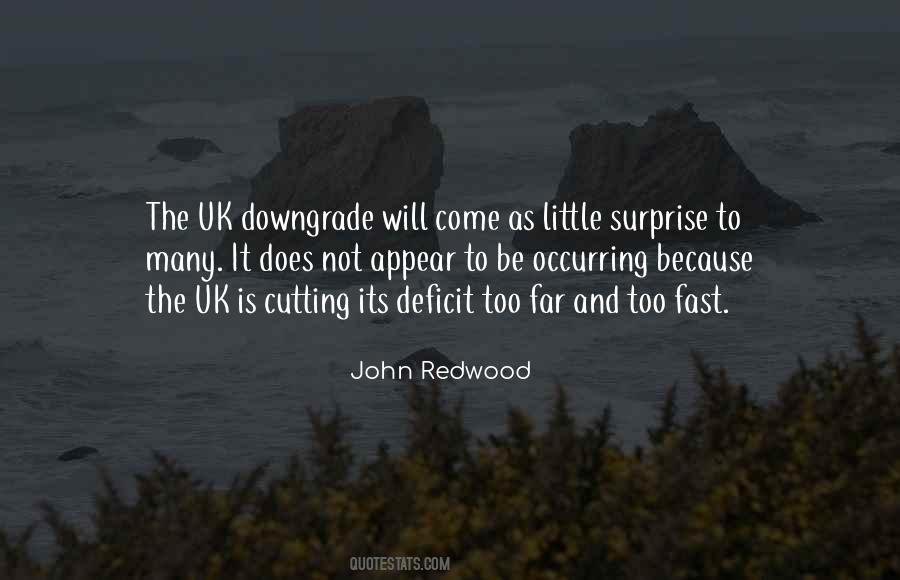 John Redwood Quotes #1424896