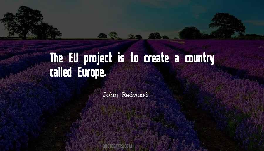 John Redwood Quotes #1648410