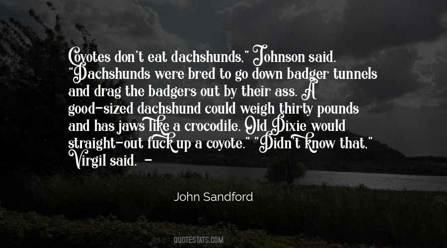 John Sandford Quotes #1865858