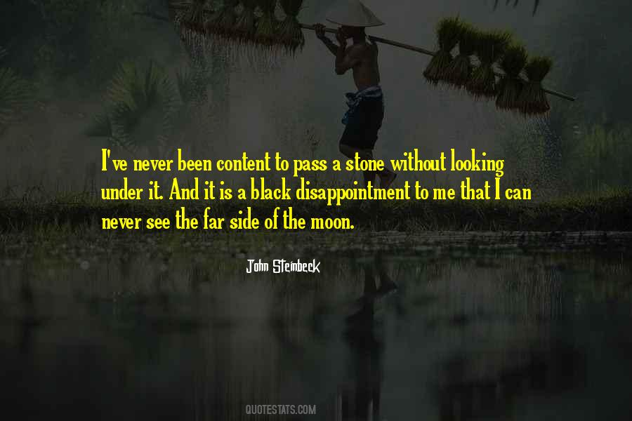 John Steinbeck Quotes #508077