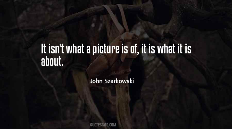 John Szarkowski Quotes #1489752