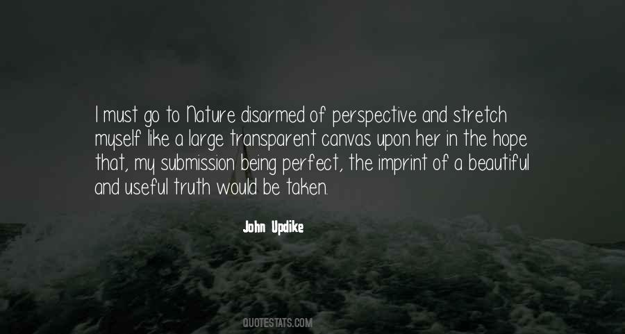 John Updike Quotes #297920