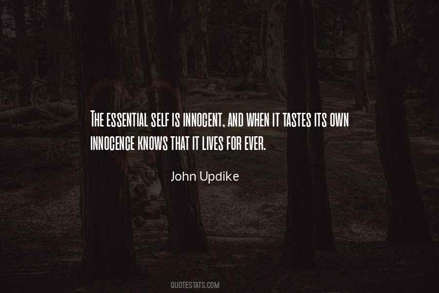 John Updike Quotes #329358
