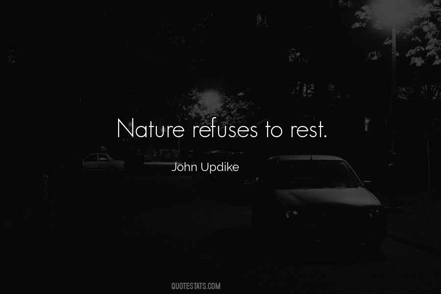 John Updike Quotes #784994