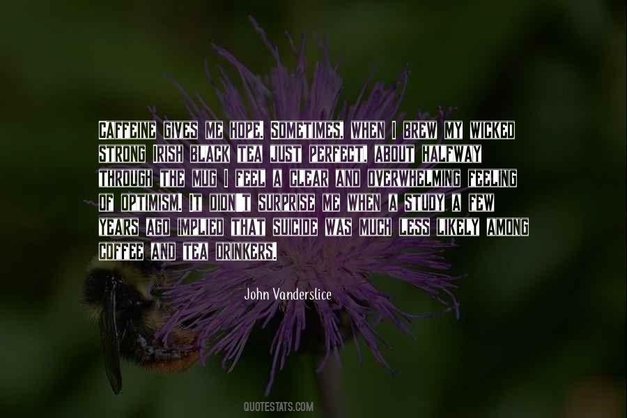 John Vanderslice Quotes #680656