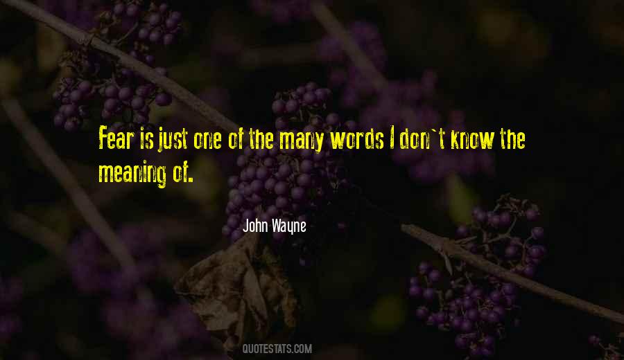 John Wayne Quotes #1150881