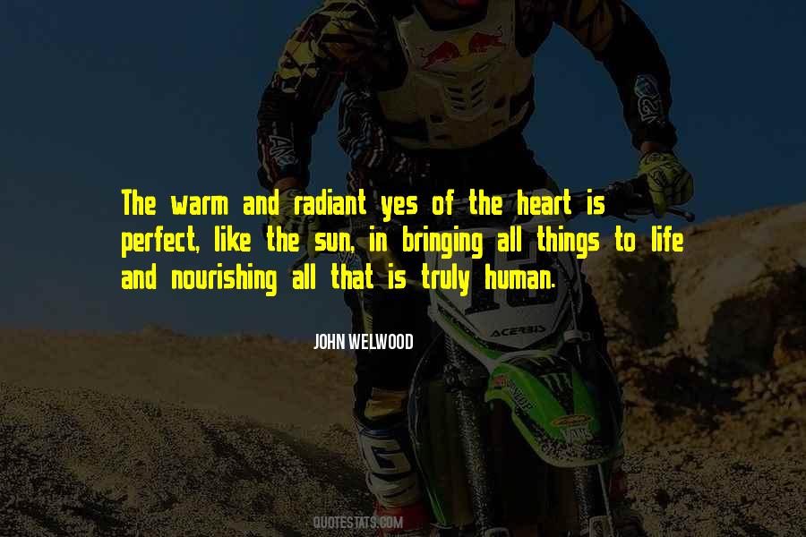 John Welwood Quotes #405410