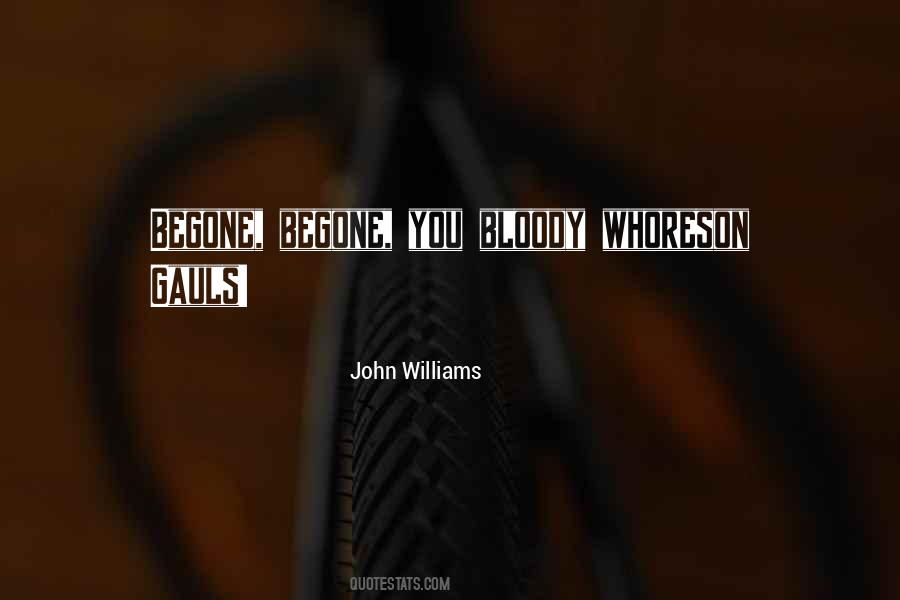 John Williams Quotes #870250