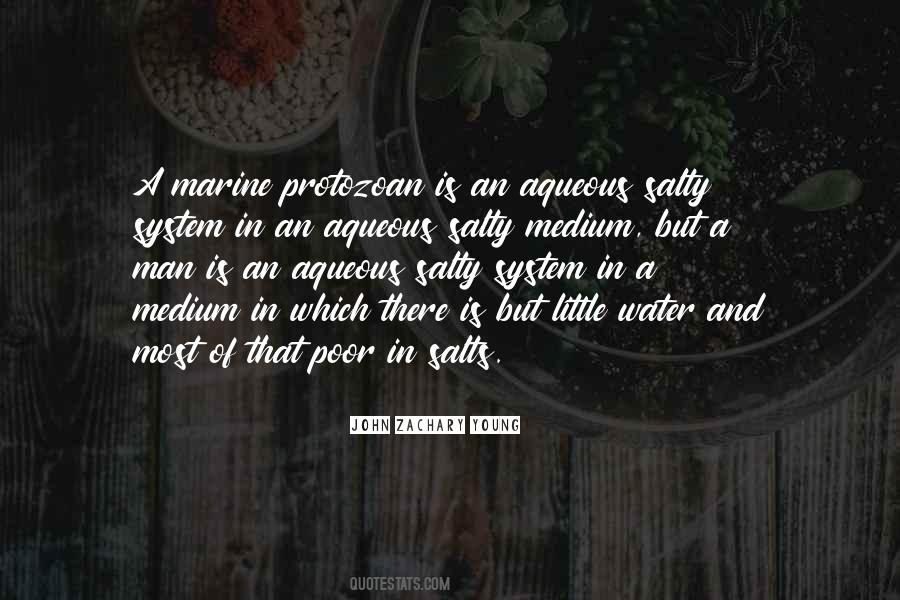 John Zachary Young Quotes #338530