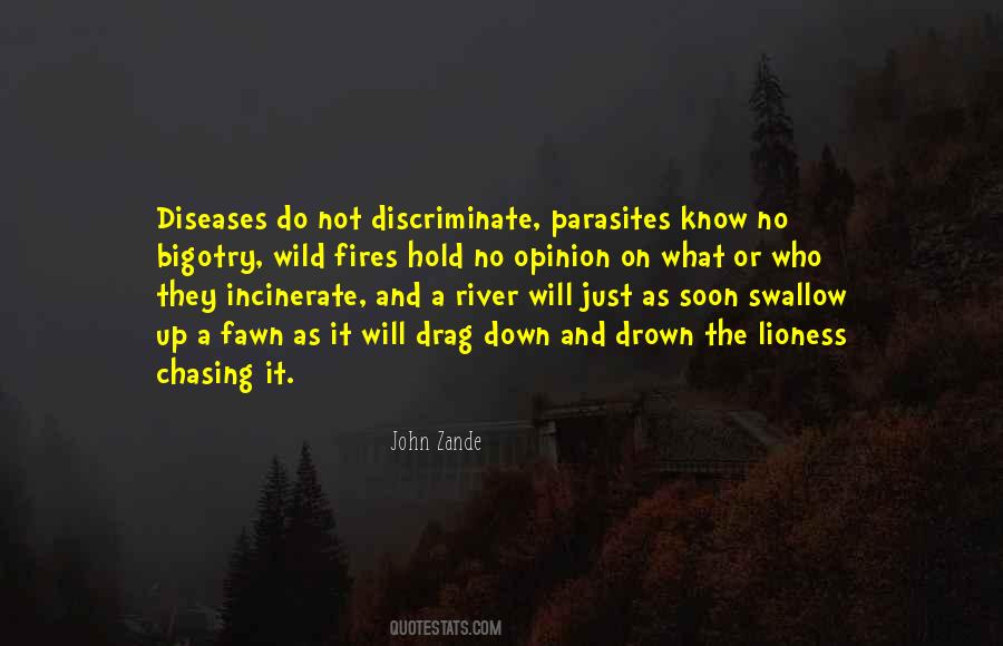 John Zande Quotes #822801