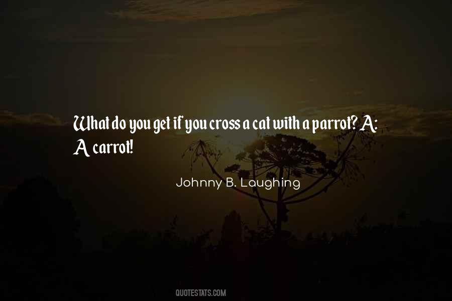 Johnny B. Laughing Quotes #240938