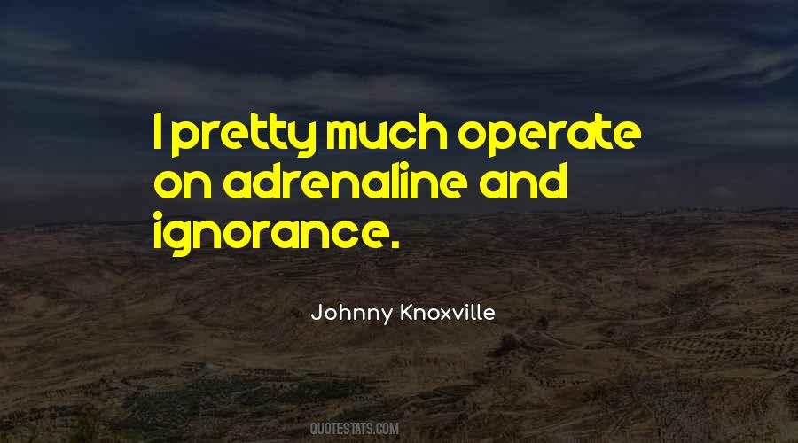 Johnny Knoxville Quotes #95530