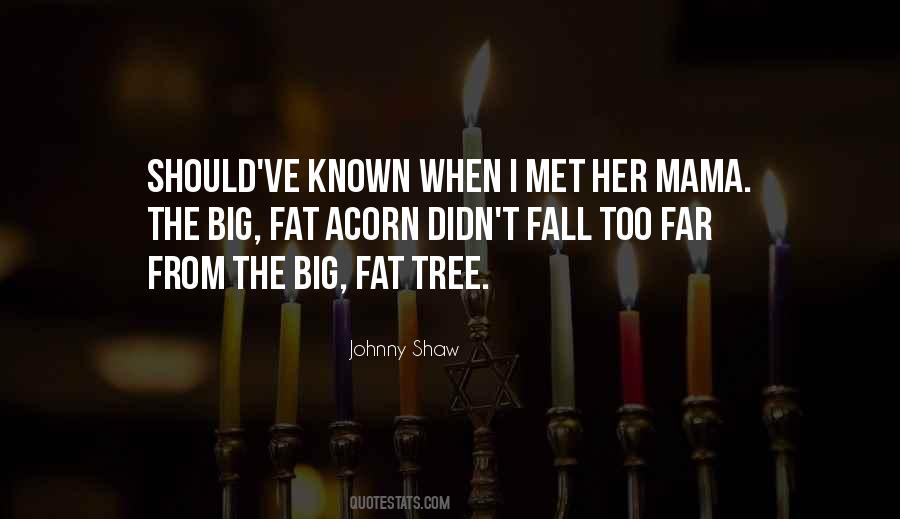Johnny Shaw Quotes #1314754