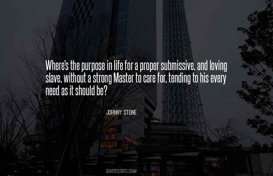 Johnny Stone Quotes #1573196