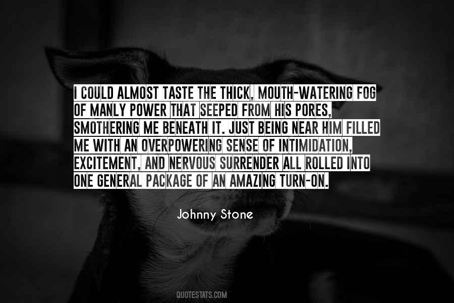 Johnny Stone Quotes #444538
