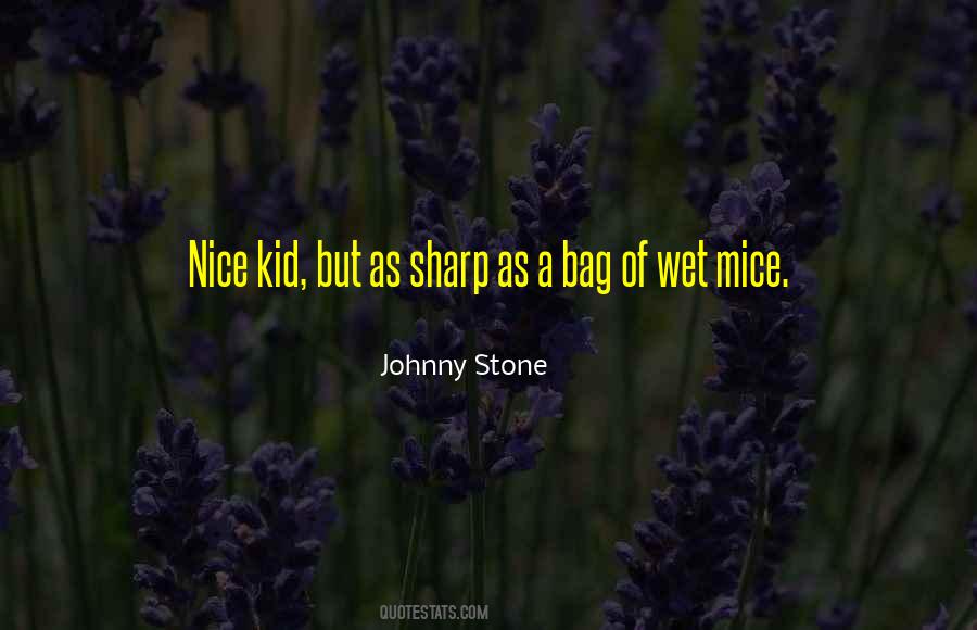 Johnny Stone Quotes #720731